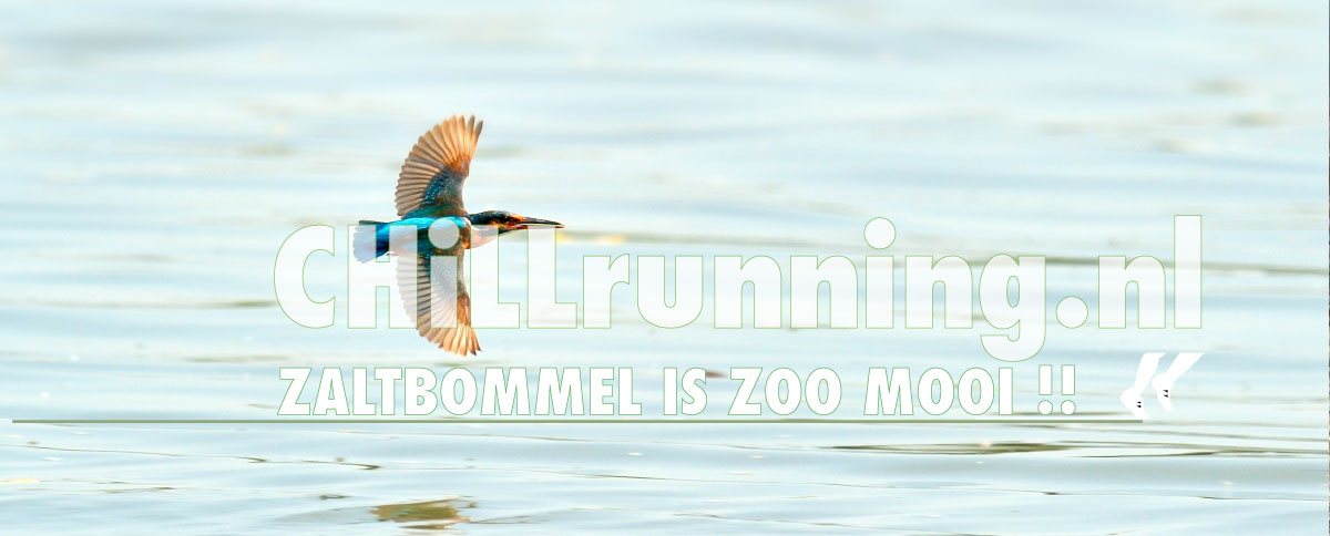 ChiLLrunning, is HARDLOPEN IN ZALTBOMMEL_is_zo_mooi!, hardlopen_in_Zaltbommel